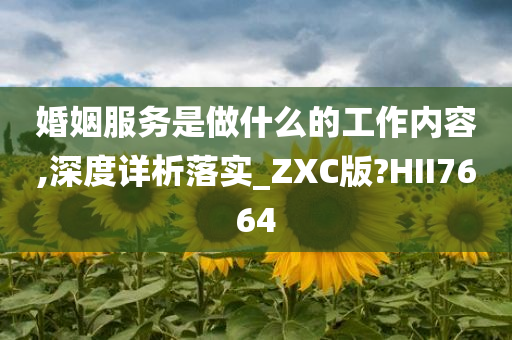 婚姻服务是做什么的工作内容,深度详析落实_ZXC版?HII7664