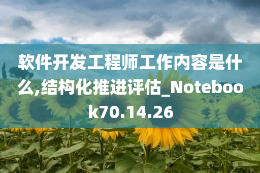 软件开发工程师工作内容是什么,结构化推进评估_Notebook70.14.26