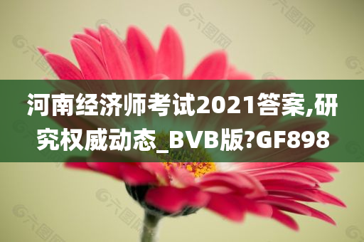 河南经济师考试2021答案,研究权威动态_BVB版?GF898