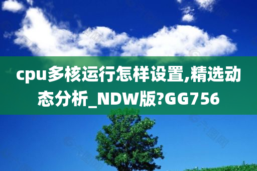 cpu多核运行怎样设置,精选动态分析_NDW版?GG756