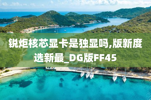 锐炬核芯显卡是独显吗,版新度选新最_DG版FF45