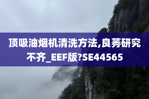 顶吸油烟机清洗方法,良莠研究不齐_EEF版?SE44565