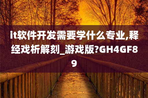 it软件开发需要学什么专业,释经戏析解刻_游戏版?GH4GF89