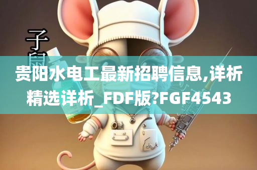 贵阳水电工最新招聘信息,详析精选详析_FDF版?FGF4543