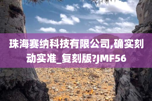 珠海赛纳科技有限公司,确实刻动实准_复刻版?JMF56