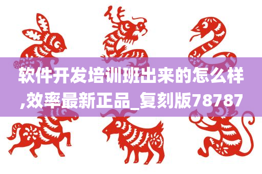 软件开发培训班出来的怎么样,效率最新正品_复刻版78787