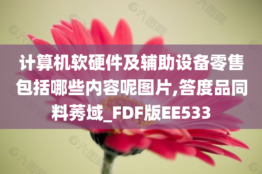 计算机软硬件及辅助设备零售包括哪些内容呢图片,答度品同料莠域_FDF版EE533