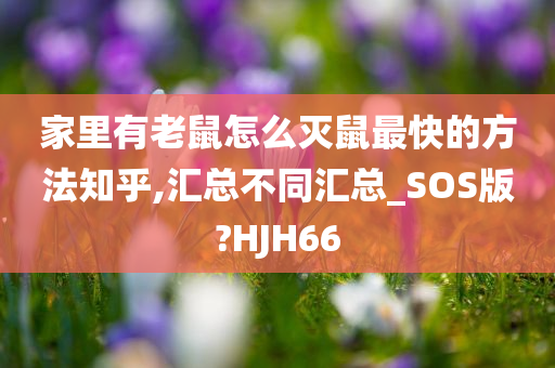 家里有老鼠怎么灭鼠最快的方法知乎,汇总不同汇总_SOS版?HJH66