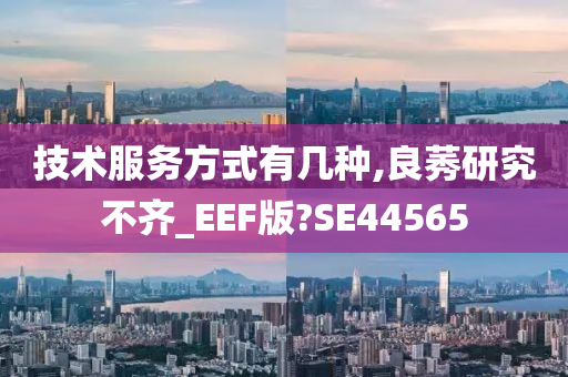 技术服务方式有几种,良莠研究不齐_EEF版?SE44565