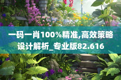 一码一肖100%精准,高效策略设计解析_专业版82.616