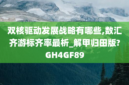 双核驱动发展战略有哪些,数汇齐游标齐率最析_解甲归田版?GH4GF89