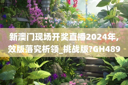 新澳门现场开奖直播2024年,效版落究析领_挑战版?GH489