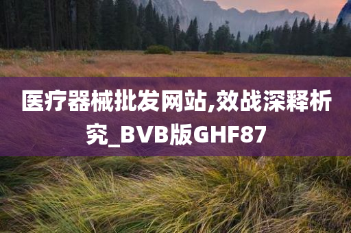 医疗器械批发网站,效战深释析究_BVB版GHF87