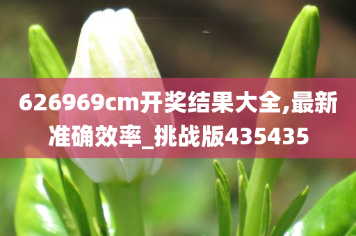 626969cm开奖结果大全,最新准确效率_挑战版435435