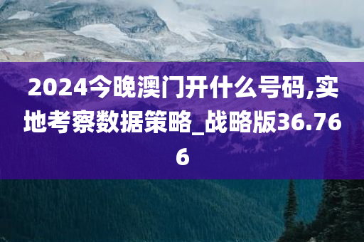 2024今晚澳门开什么号码,实地考察数据策略_战略版36.766