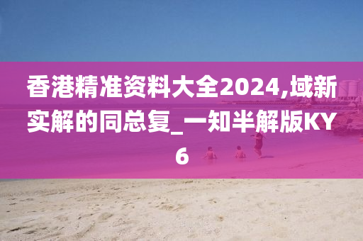 香港精准资料大全2024,域新实解的同总复_一知半解版KY6