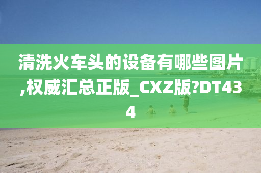 CXZ正版