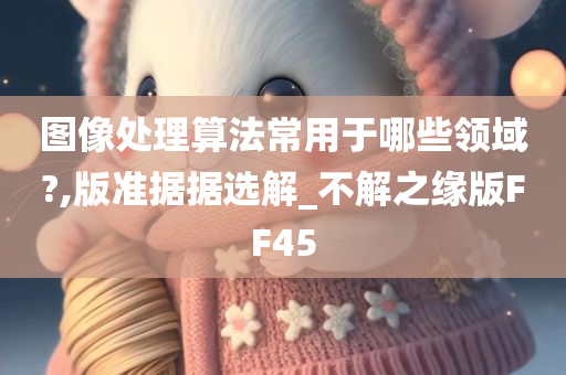 图像处理算法常用于哪些领域?,版准据据选解_不解之缘版FF45