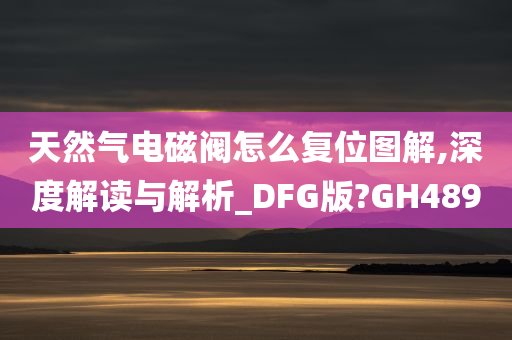 天然气电磁阀怎么复位图解,深度解读与解析_DFG版?GH489