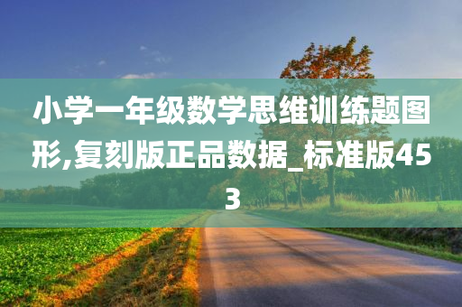 小学一年级数学思维训练题图形,复刻版正品数据_标准版453