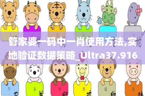 管家婆一码中一肖使用方法,实地验证数据策略_Ultra37.916