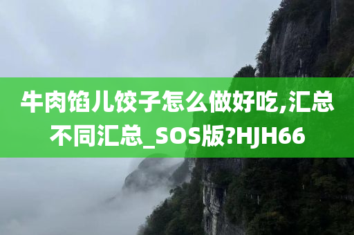 牛肉馅儿饺子怎么做好吃,汇总不同汇总_SOS版?HJH66