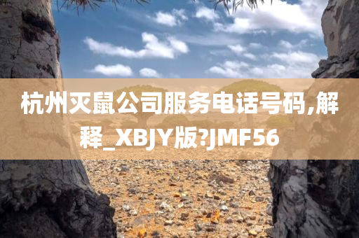 杭州灭鼠公司服务电话号码,解释_XBJY版?JMF56