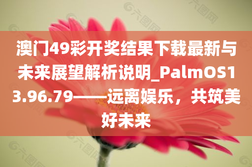 澳门49彩开奖结果下载最新与未来展望解析说明_PalmOS13.96.79——远离娱乐，共筑美好未来