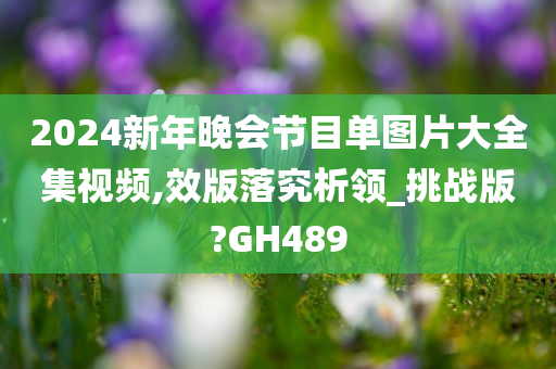 2024新年晚会节目单图片大全集视频,效版落究析领_挑战版?GH489