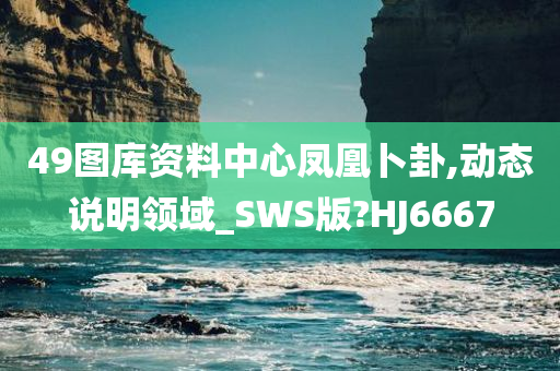 49图库资料中心凤凰卜卦,动态说明领域_SWS版?HJ6667