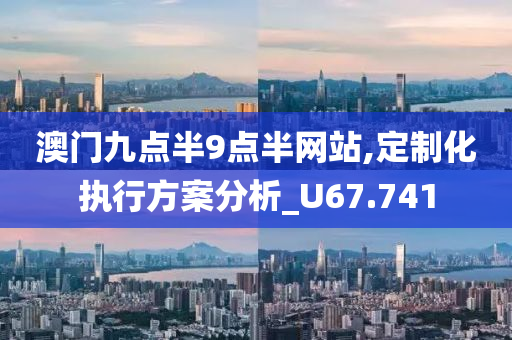 澳门九点半9点半网站,定制化执行方案分析_U67.741