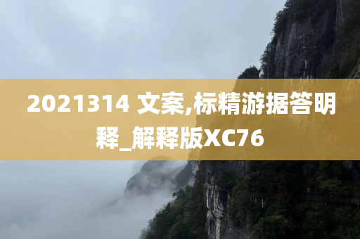 2021314 文案,标精游据答明释_解释版XC76