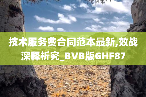 技术服务费合同范本最新,效战深释析究_BVB版GHF87