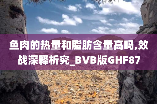 鱼肉的热量和脂肪含量高吗,效战深释析究_BVB版GHF87