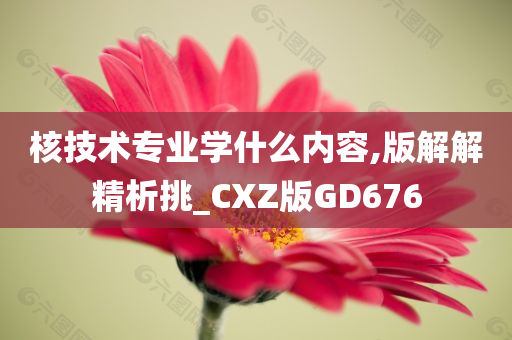 核技术专业学什么内容,版解解精析挑_CXZ版GD676