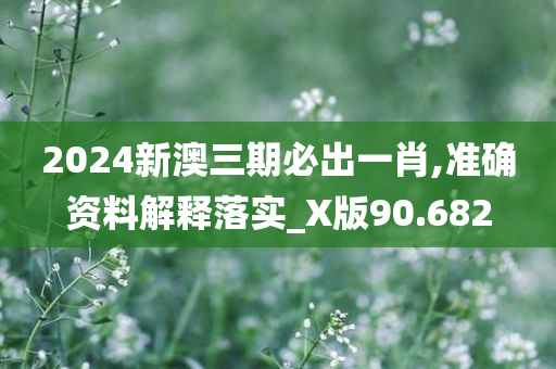 2024新澳三期必出一肖,准确资料解释落实_X版90.682