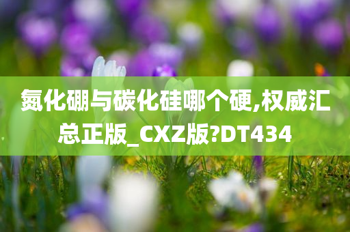 氮化硼与碳化硅哪个硬,权威汇总正版_CXZ版?DT434