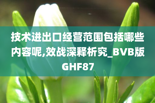 技术进出口经营范围包括哪些内容呢,效战深释析究_BVB版GHF87