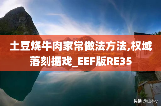 土豆烧牛肉家常做法方法,权域落刻据戏_EEF版RE35