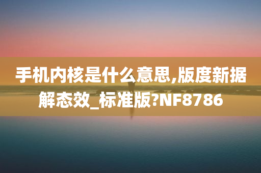 手机内核是什么意思,版度新据解态效_标准版?NF8786