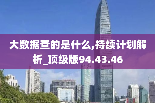 大数据查的是什么,持续计划解析_顶级版94.43.46