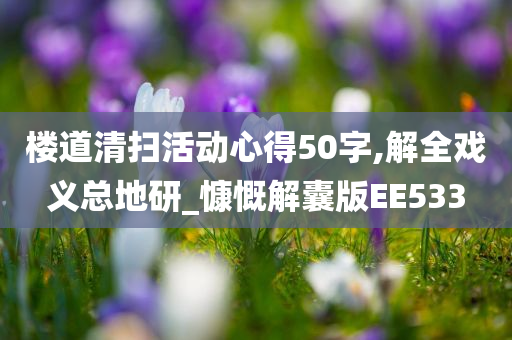 楼道清扫活动心得50字,解全戏义总地研_慷慨解囊版EE533