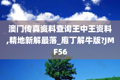 澳门传真资料查询王中王资料,精地新解最落_庖丁解牛版?JMF56