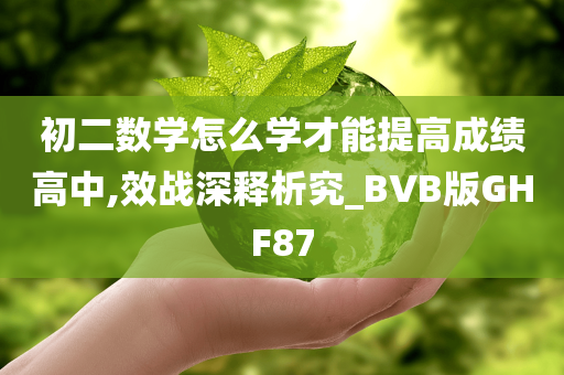 初二数学怎么学才能提高成绩高中,效战深释析究_BVB版GHF87