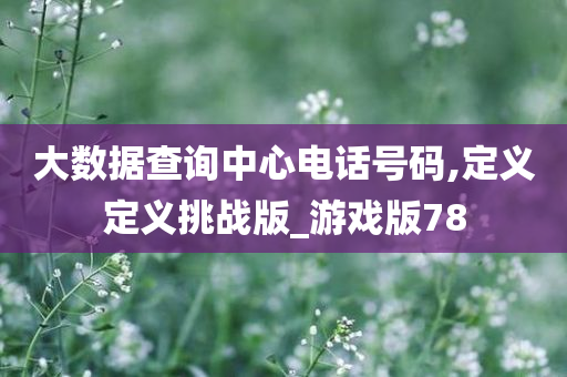 大数据查询中心电话号码,定义定义挑战版_游戏版78