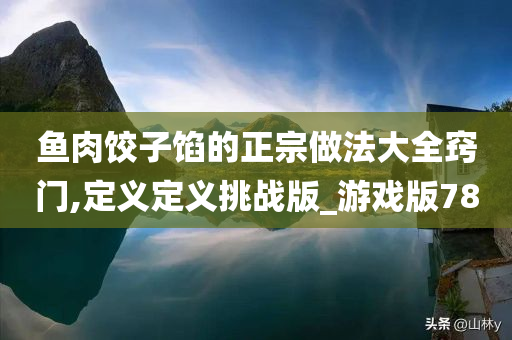 鱼肉饺子馅的正宗做法大全窍门,定义定义挑战版_游戏版78