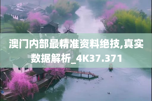 澳门内部最精准资料绝技,真实数据解析_4K37.371