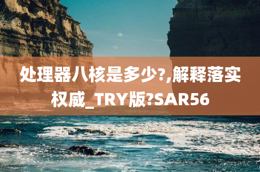 处理器八核是多少?,解释落实权威_TRY版?SAR56