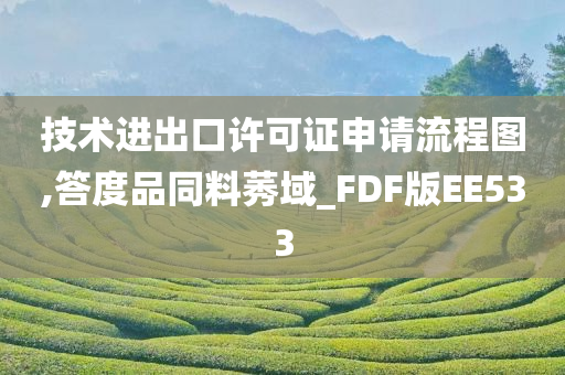 技术进出口许可证申请流程图,答度品同料莠域_FDF版EE533