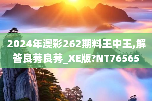 2024年澳彩262期料王中王,解答良莠良莠_XE版?NT76565